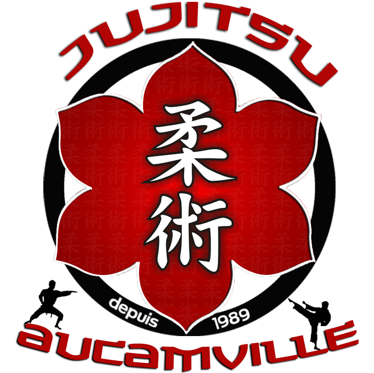 JUJITSU AUCAMVILLE
