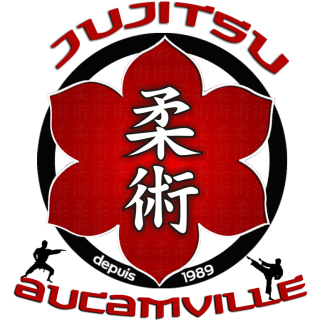 JUJITSU AUCAMVILLE